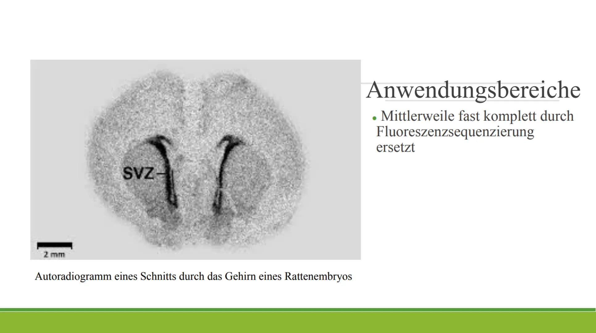 Autoradiographie Gliederung
Definition
Allgemeines
Durchführung
Anwendungsbereiche
Quellen Definition/ Allgemeines
• Von [griech. autos = se