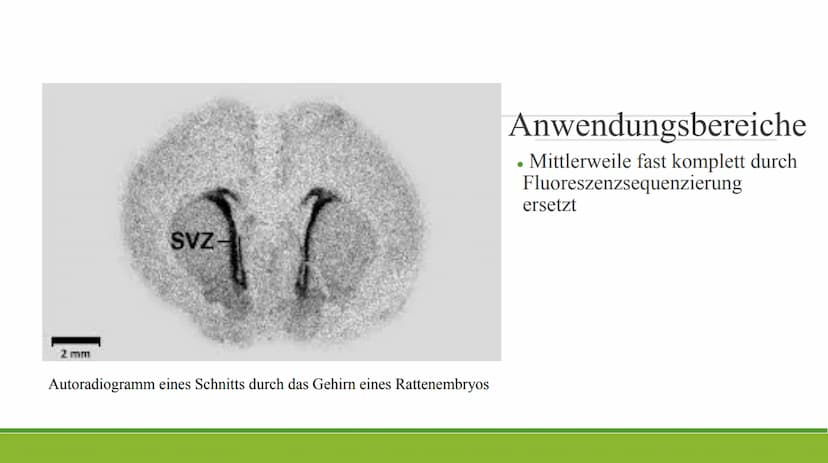 Autoradiographie Gliederung
Definition
Allgemeines
Durchführung
Anwendungsbereiche
Quellen Definition/ Allgemeines
• Von [griech. autos = se