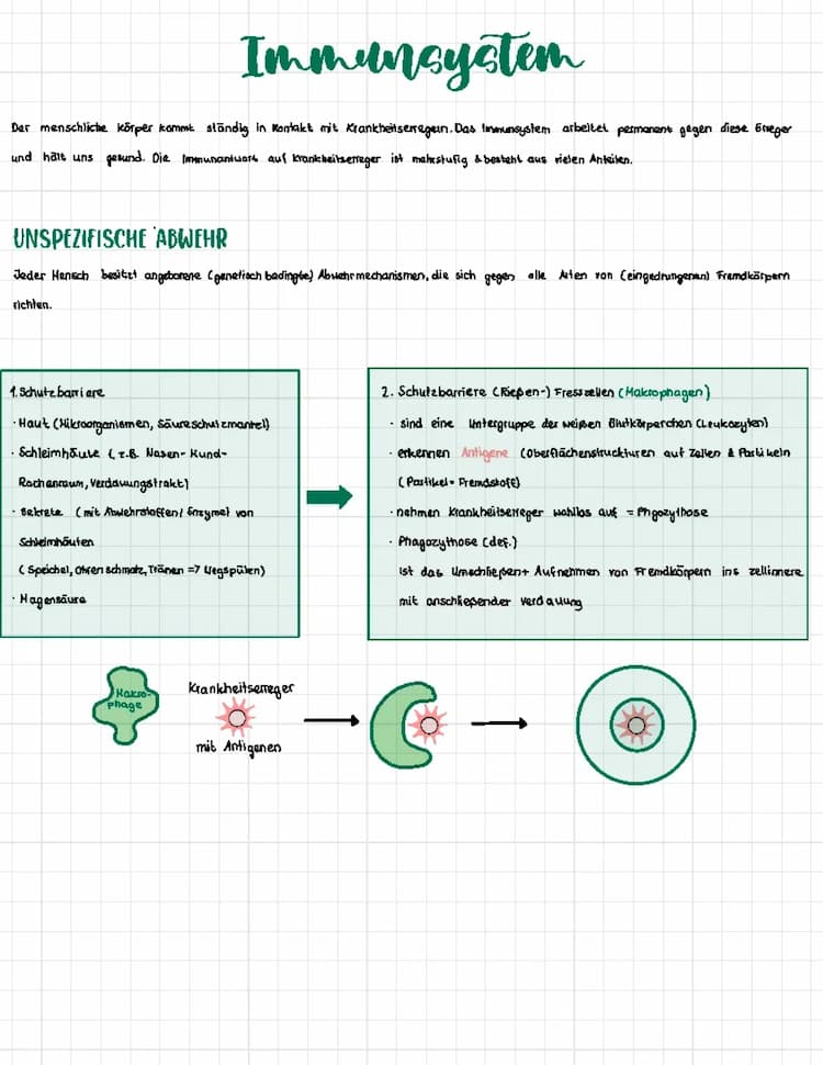 Know Immunsystem- spezifische & unspezifische Abwehr + Entzündungsreaktion + Virus in unserem Körper   thumbnail