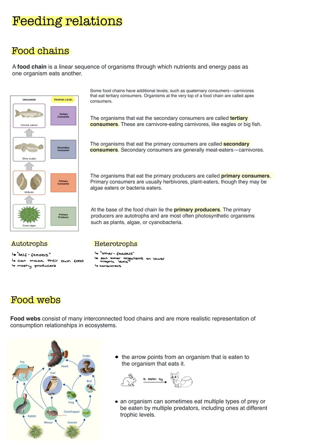 Ecology
Ecology is the story of the interrelationships between organisms and their living and
non-living environment
Ecological potency
The 