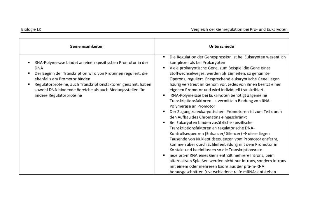Genregulation: Unterschiede bei Prokaryoten und Eukaryoten
