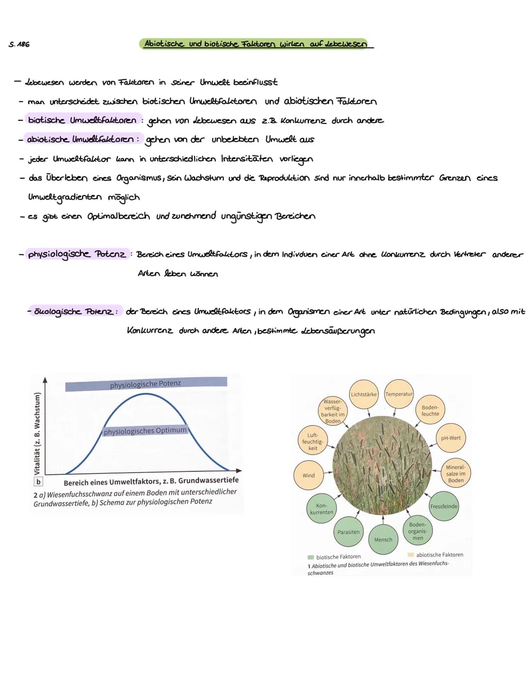 S. 186
Abiotische und biotische Faktoren wirken auf Lebewesen
- Lebewesen werden von Faktoren in seiner Umwelt beeinflusst
- man unterscheid