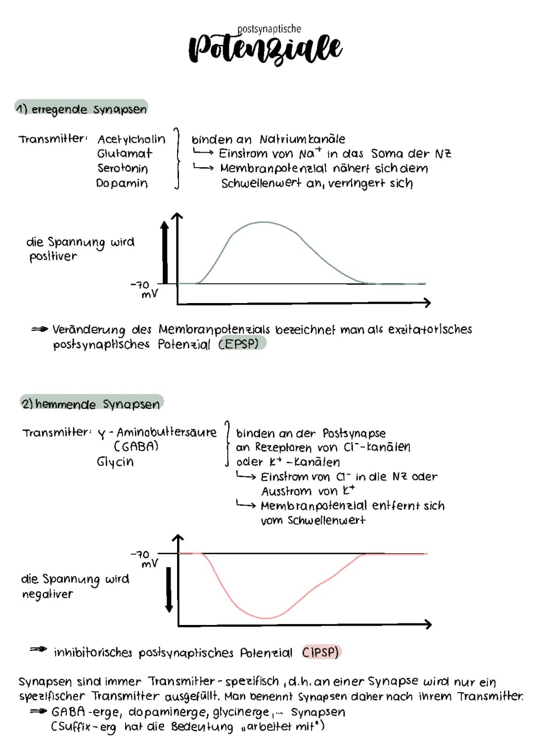 Postsynaptische Potenziale 