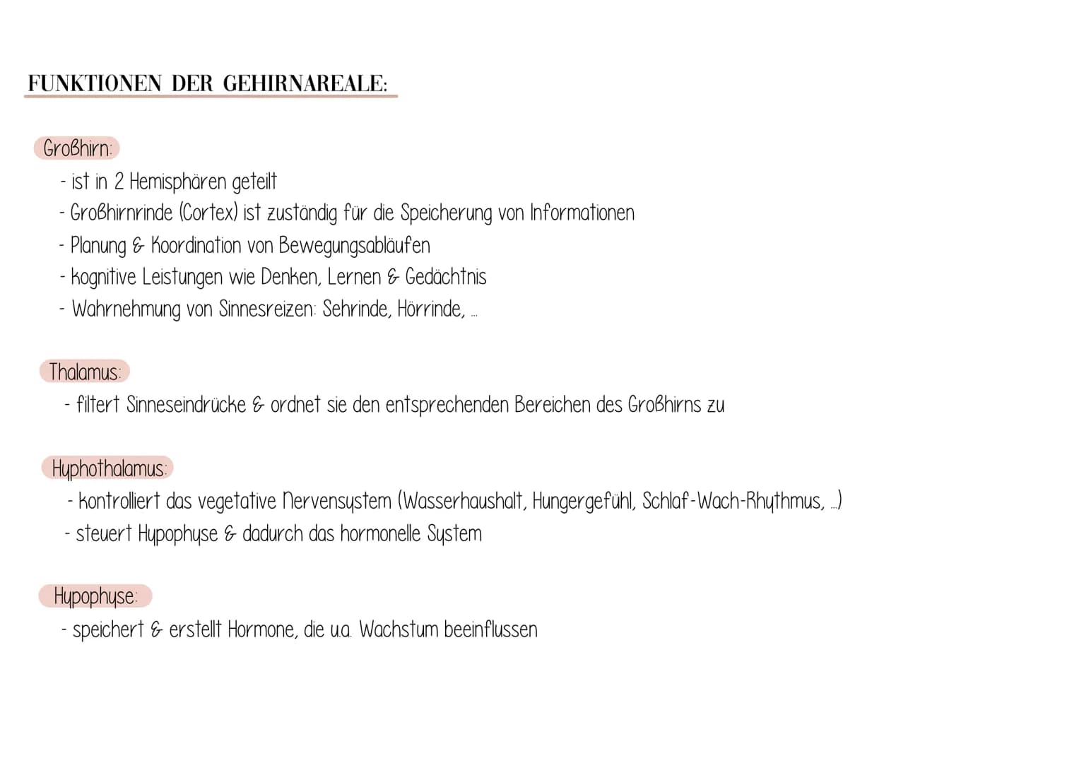 Dag Gehirn
AUFBAU:
Zwischenhirn
Großhirn
Thalamus
Hypothalamus
Hypophyse
Balken
Rückenmark
Mittelhirn
Brücke
Nachhirn
Kleinhirn
Stammhirn FU