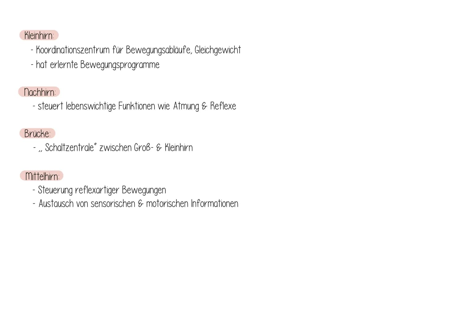 Dag Gehirn
AUFBAU:
Zwischenhirn
Großhirn
Thalamus
Hypothalamus
Hypophyse
Balken
Rückenmark
Mittelhirn
Brücke
Nachhirn
Kleinhirn
Stammhirn FU