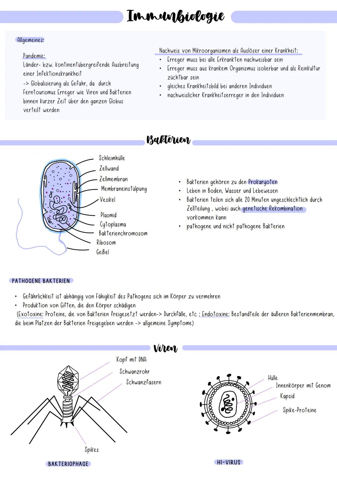 Immunbiologie ### Immunbiologie

Allgemeines:

Pandemie:
*   Länder- bzw. kontinentübergreifende Ausbreitung
    einer Infektionskrankheit
*