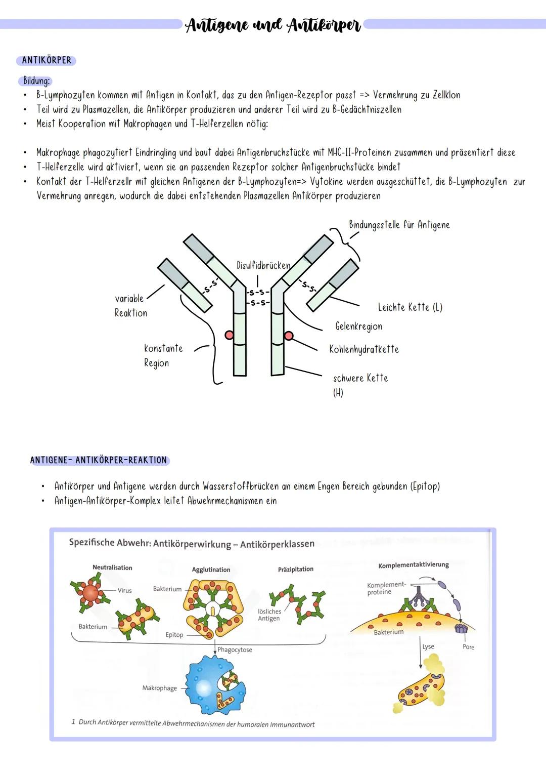 Immunbiologie ### Immunbiologie

Allgemeines:

Pandemie:
*   Länder- bzw. kontinentübergreifende Ausbreitung
    einer Infektionskrankheit
*