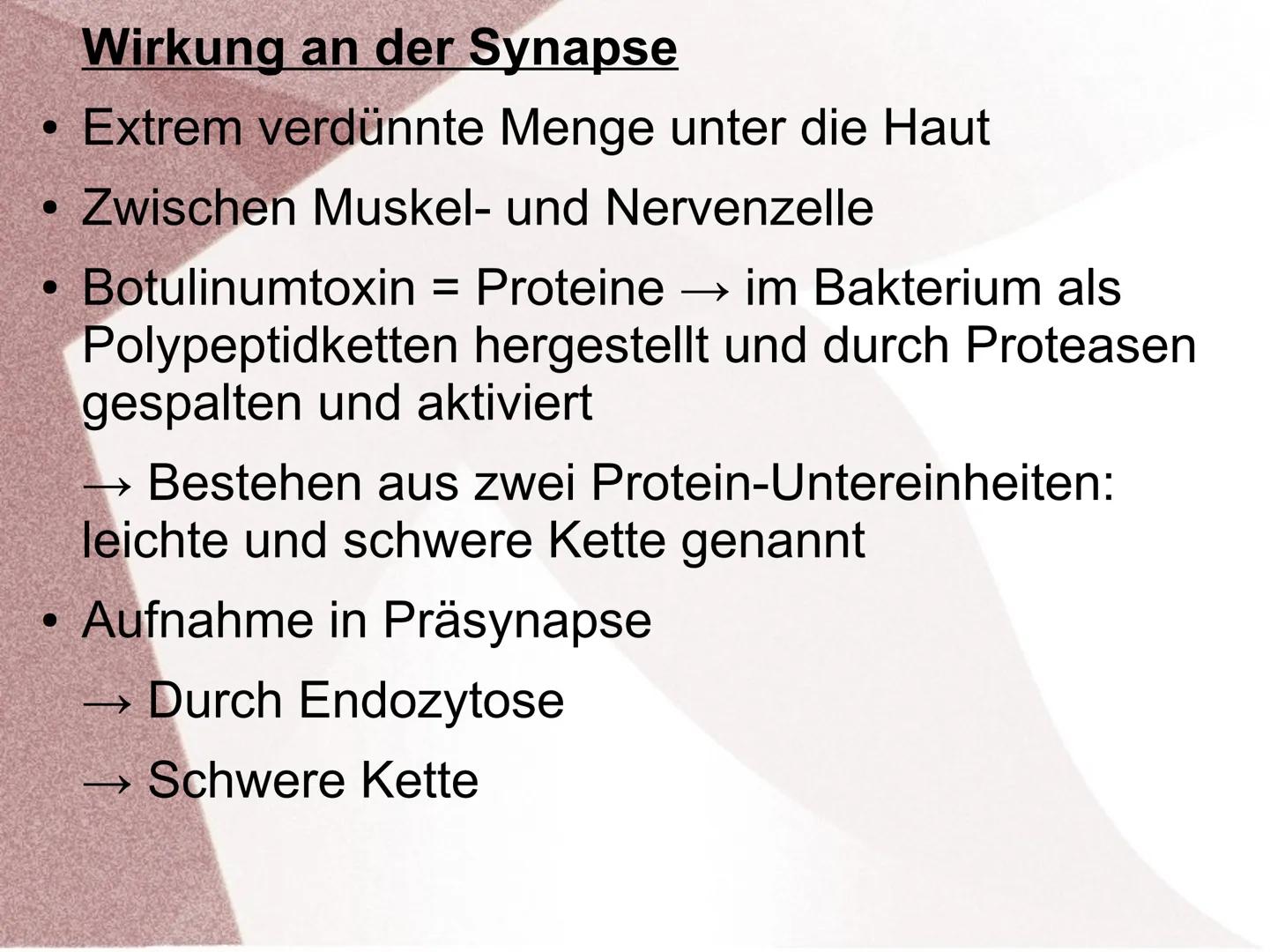 Wirkung von Giften an Synapsen ●
●
Was sind Synapsengifte?
Stoffe die in den Ablauf der natürlichen
Erregungsübertragung in Synapsen eingrei