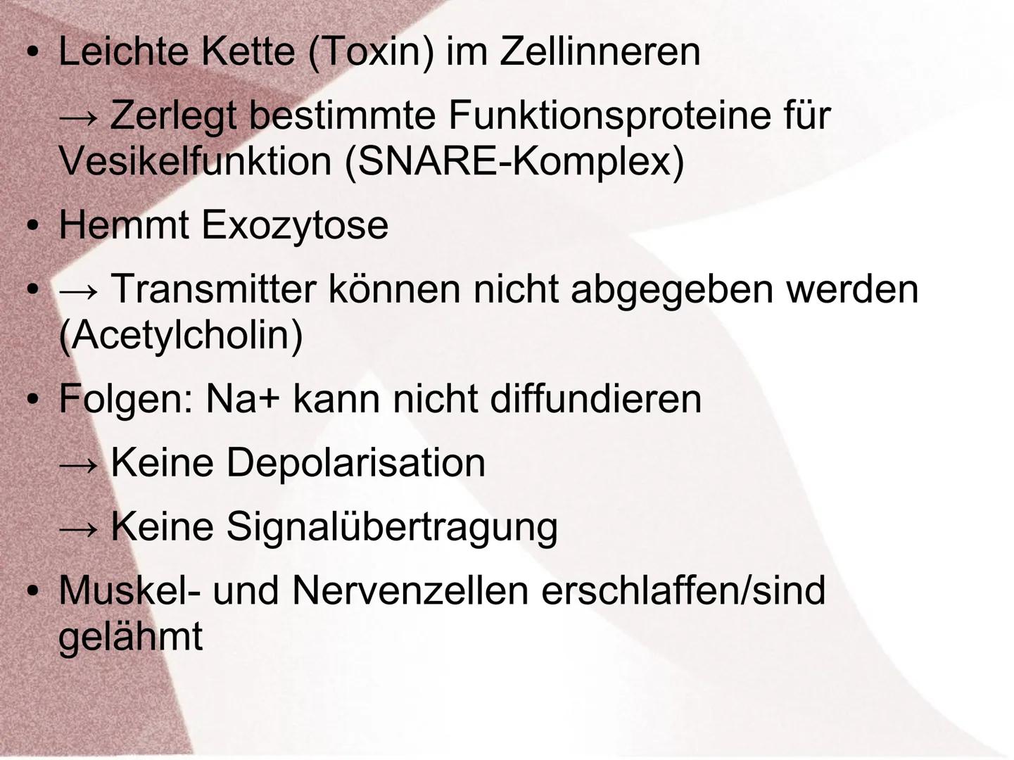 Wirkung von Giften an Synapsen ●
●
Was sind Synapsengifte?
Stoffe die in den Ablauf der natürlichen
Erregungsübertragung in Synapsen eingrei