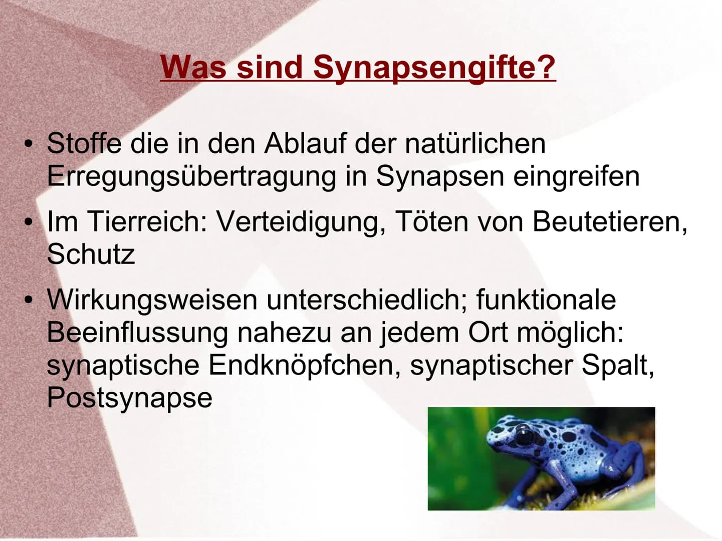 Wirkung von Giften an Synapsen ●
●
Was sind Synapsengifte?
Stoffe die in den Ablauf der natürlichen
Erregungsübertragung in Synapsen eingrei