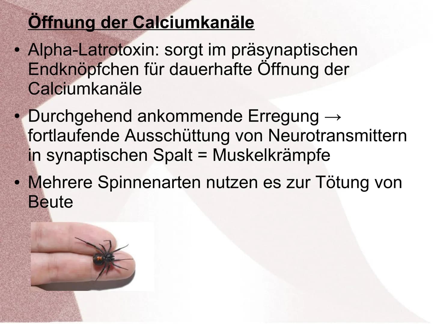 Wirkung von Giften an Synapsen ●
●
Was sind Synapsengifte?
Stoffe die in den Ablauf der natürlichen
Erregungsübertragung in Synapsen eingrei