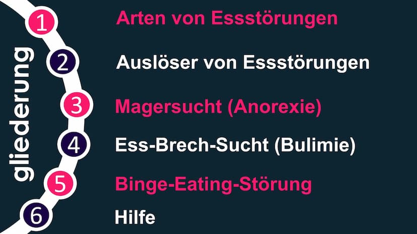 ESSSTORUNGEN gliederung
1
Arten von Essstörungen
2 Auslöser von Essstörungen
3
Magersucht (Anorexie)
Ess-Brech-Sucht (Bulimie)
Binge-Eating-