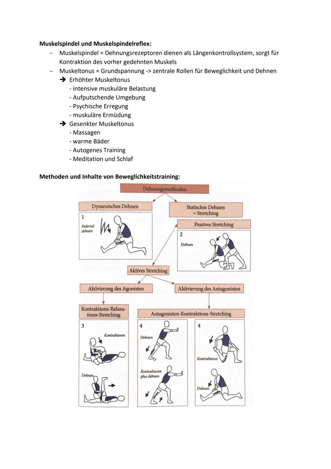 # Grundlagen sportlichen Trainings
## koordinative Fähigkeiten

Kondition = 5 motorischen Grundfähigkeiten:
- Kraft
- Ausdauer
- Schnelligke