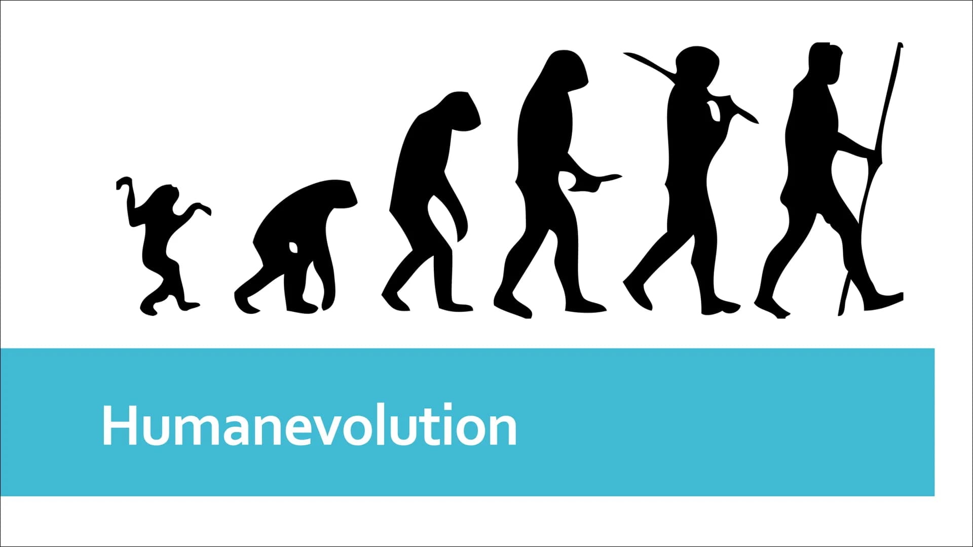 美國
Humanevolution Agenda
• Ursprung
●
Evolution des Menschen
• Umstrittene Urformen
• Australopithecus Gruppe
Gattung Homo
• Der aufrechte G