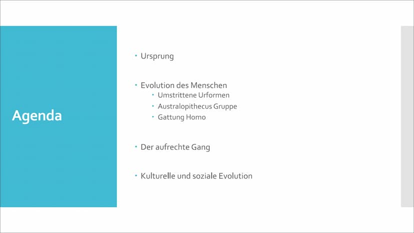 美國
Humanevolution Agenda
• Ursprung
●
Evolution des Menschen
• Umstrittene Urformen
• Australopithecus Gruppe
Gattung Homo
• Der aufrechte G