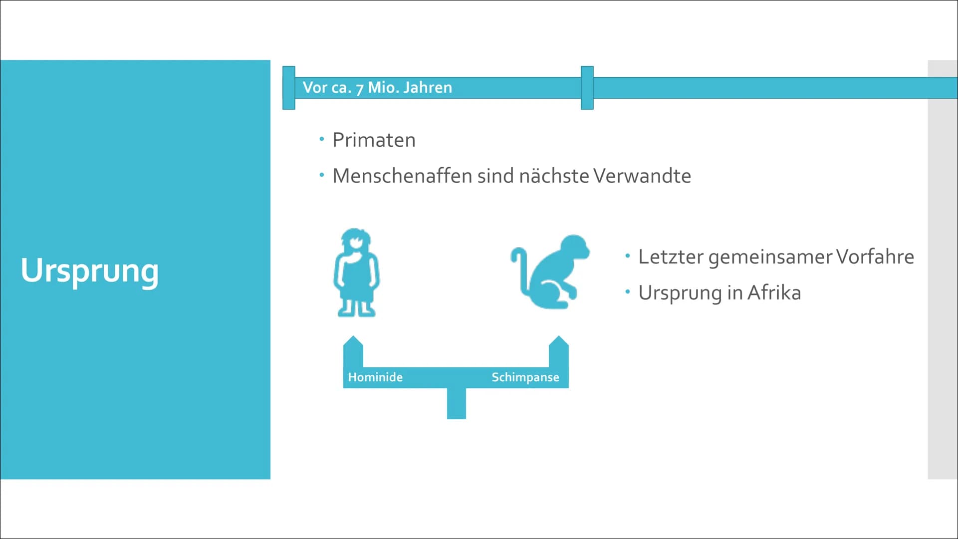 美國
Humanevolution Agenda
• Ursprung
●
Evolution des Menschen
• Umstrittene Urformen
• Australopithecus Gruppe
Gattung Homo
• Der aufrechte G