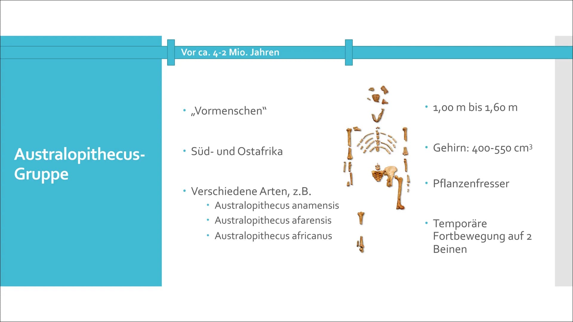 美國
Humanevolution Agenda
• Ursprung
●
Evolution des Menschen
• Umstrittene Urformen
• Australopithecus Gruppe
Gattung Homo
• Der aufrechte G