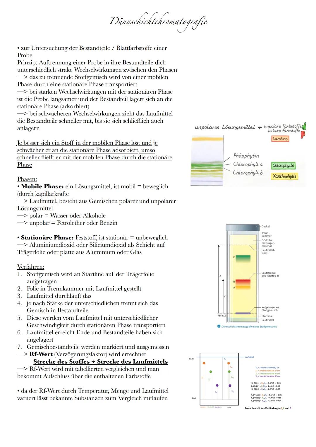 # Dünnschichtchromatografie

• zur Untersuchung der Bestandteile / Blattfarbstoffe einer
Probe
Prinzip: Auftrennung einer Probe in ihre Best