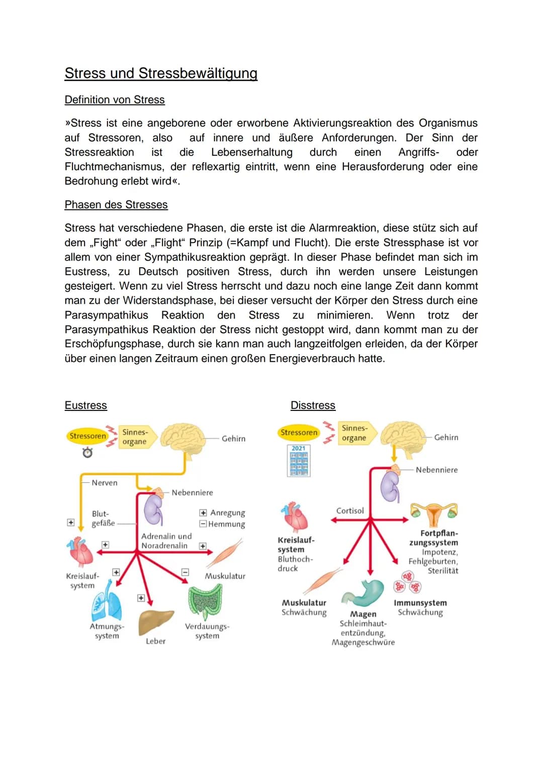 Einleitung
,,Heute bin ich wieder so gestresst“, „Durch die ganzen Klassenarbeiten hab ich einen
Wahnsinns-Stress". Stress ist in der heutig