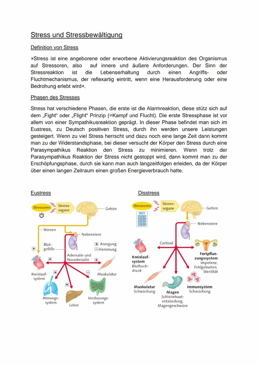 Einleitung
,,Heute bin ich wieder so gestresst“, „Durch die ganzen Klassenarbeiten hab ich einen
Wahnsinns-Stress". Stress ist in der heutig