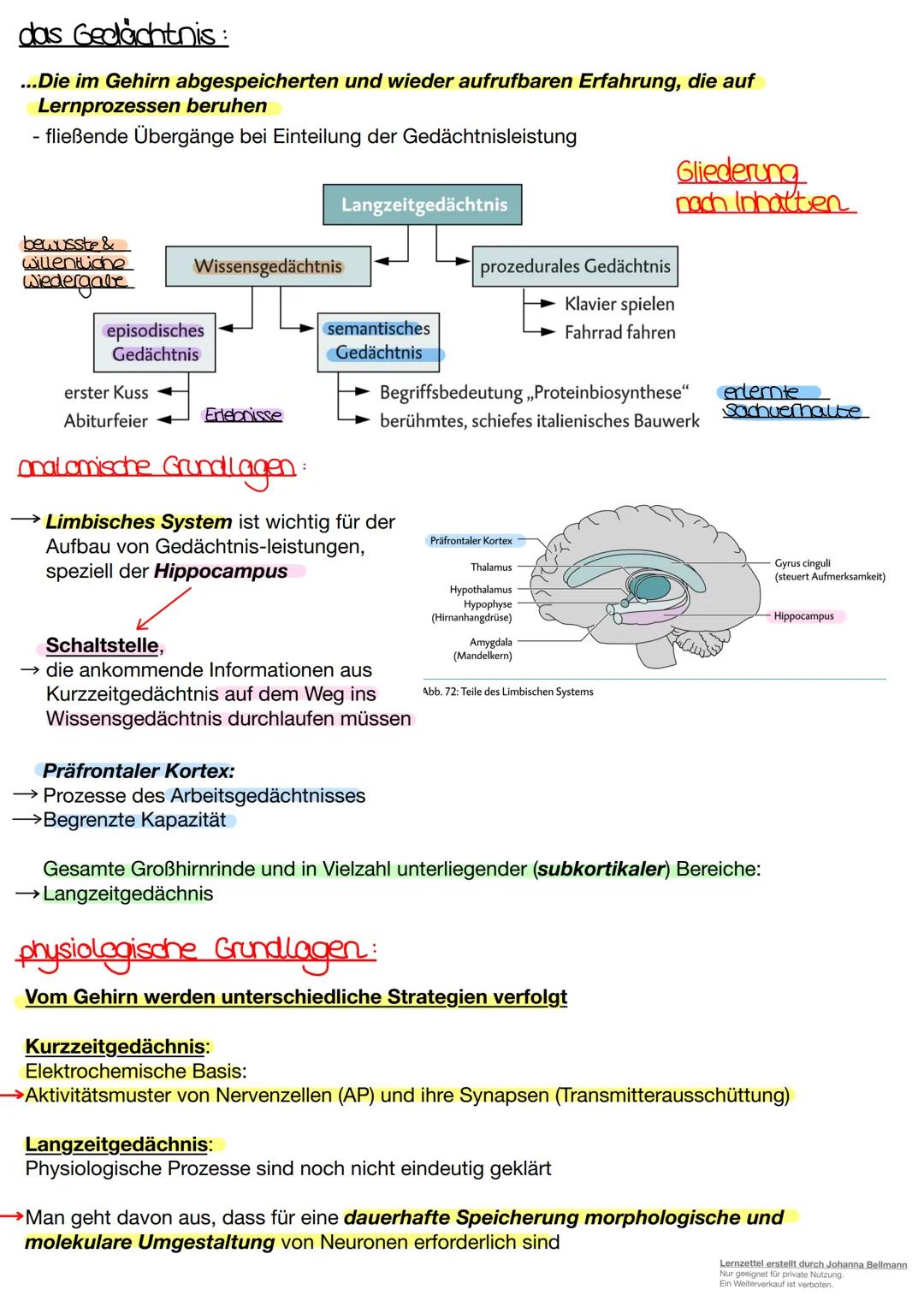 Neurobiologie
Lernzettel erstellt durch Johanna Bellmann
Nur geeignet für private Nutzung.
Ein Weiterverkauf ist verboten. Die Nervenzelle.
