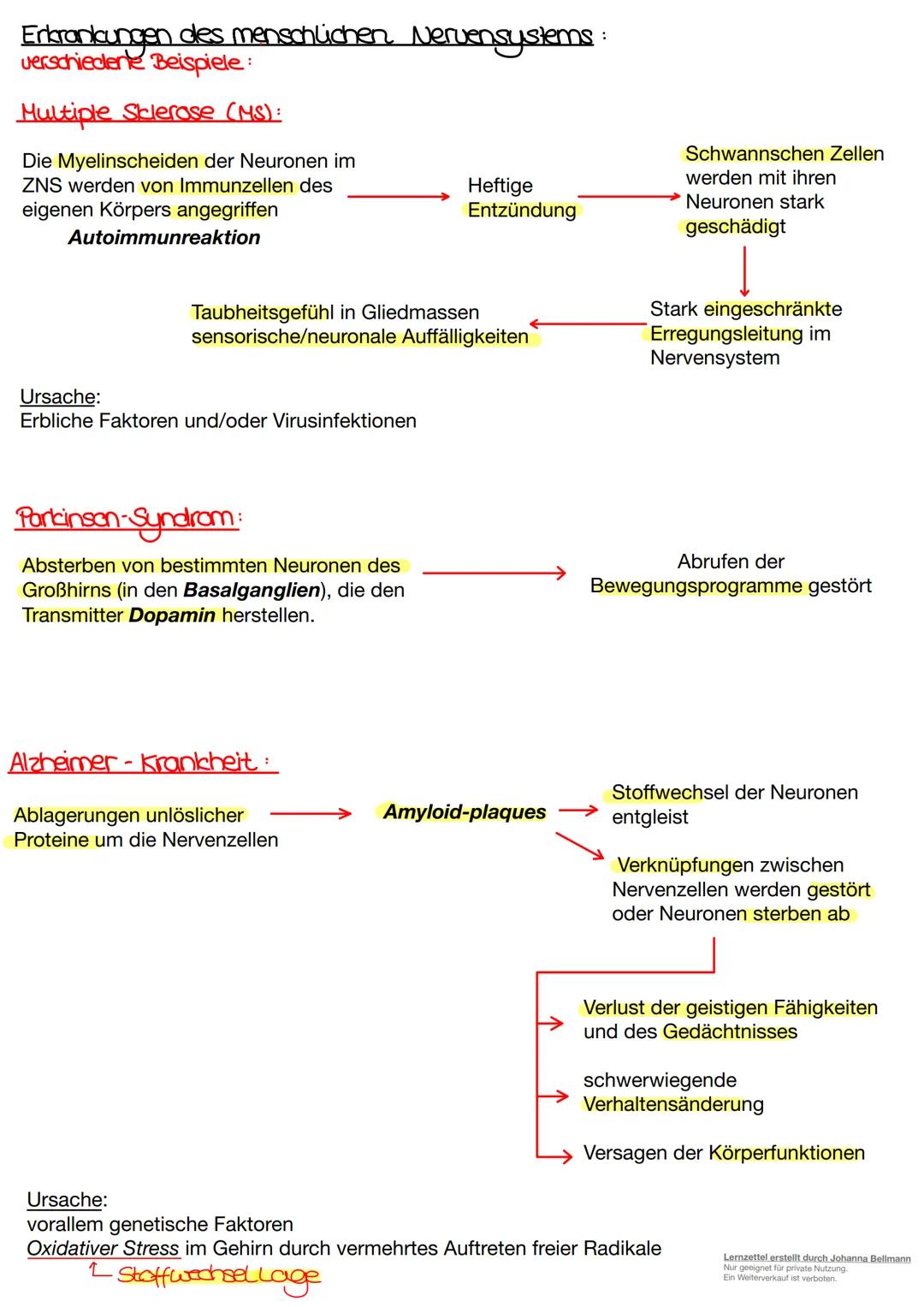 Neurobiologie
Lernzettel erstellt durch Johanna Bellmann
Nur geeignet für private Nutzung.
Ein Weiterverkauf ist verboten. Die Nervenzelle.
