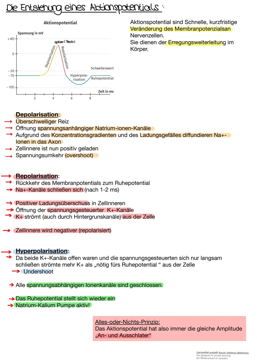 Neurobiologie
Lernzettel erstellt durch Johanna Bellmann
Nur geeignet für private Nutzung.
Ein Weiterverkauf ist verboten. Die Nervenzelle.
