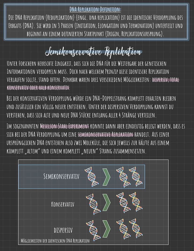 Der Zellkern
DIE GENETISCHE INFORMATION LIEGT IN FORM VON CHROMOSOMEN VOR, DIE AUS DNA
(DESOXYRIBONUCLEINSÄURE), DEM TRÄGER DER ERBINFORMATI