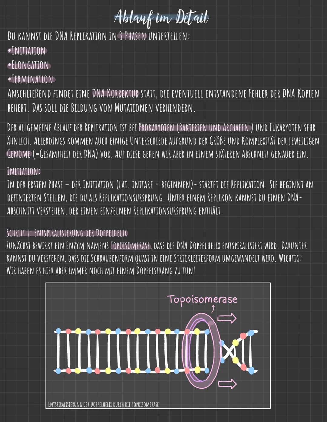 Der Zellkern
DIE GENETISCHE INFORMATION LIEGT IN FORM VON CHROMOSOMEN VOR, DIE AUS DNA
(DESOXYRIBONUCLEINSÄURE), DEM TRÄGER DER ERBINFORMATI