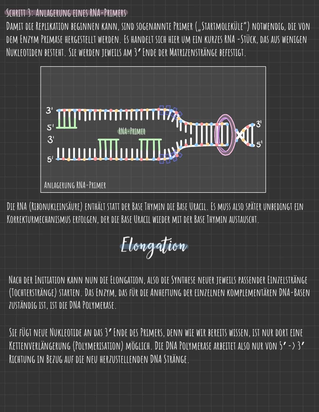 Der Zellkern
DIE GENETISCHE INFORMATION LIEGT IN FORM VON CHROMOSOMEN VOR, DIE AUS DNA
(DESOXYRIBONUCLEINSÄURE), DEM TRÄGER DER ERBINFORMATI