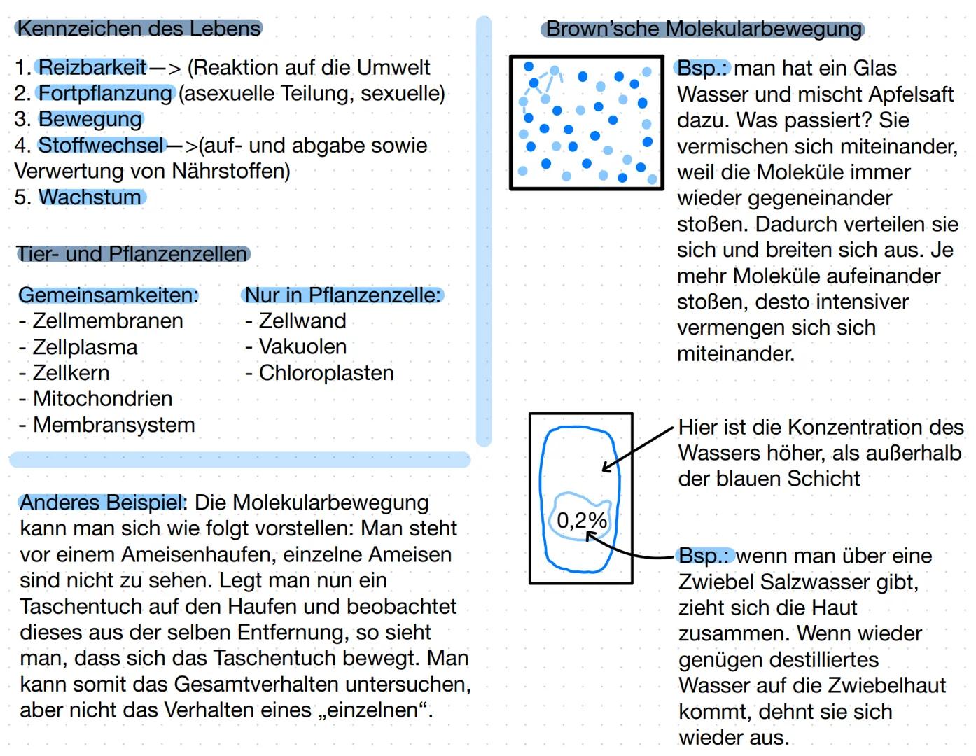 Aufbau einer tierischen Zelle
Zellmembran
Endoplas-
matisches
Reticulum
(ER) mit
Ribosomen
Mitochondrien
Lysosomen
Chloroplasten
Zellkern mi