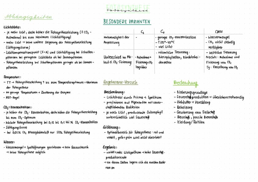 Voraussetzungen
- in jeder Schwamm- und Palisadenzelle > 100
- die Thylacoidmembran besteht aus einer Lipiddoppelschicht
mit besonders hohem