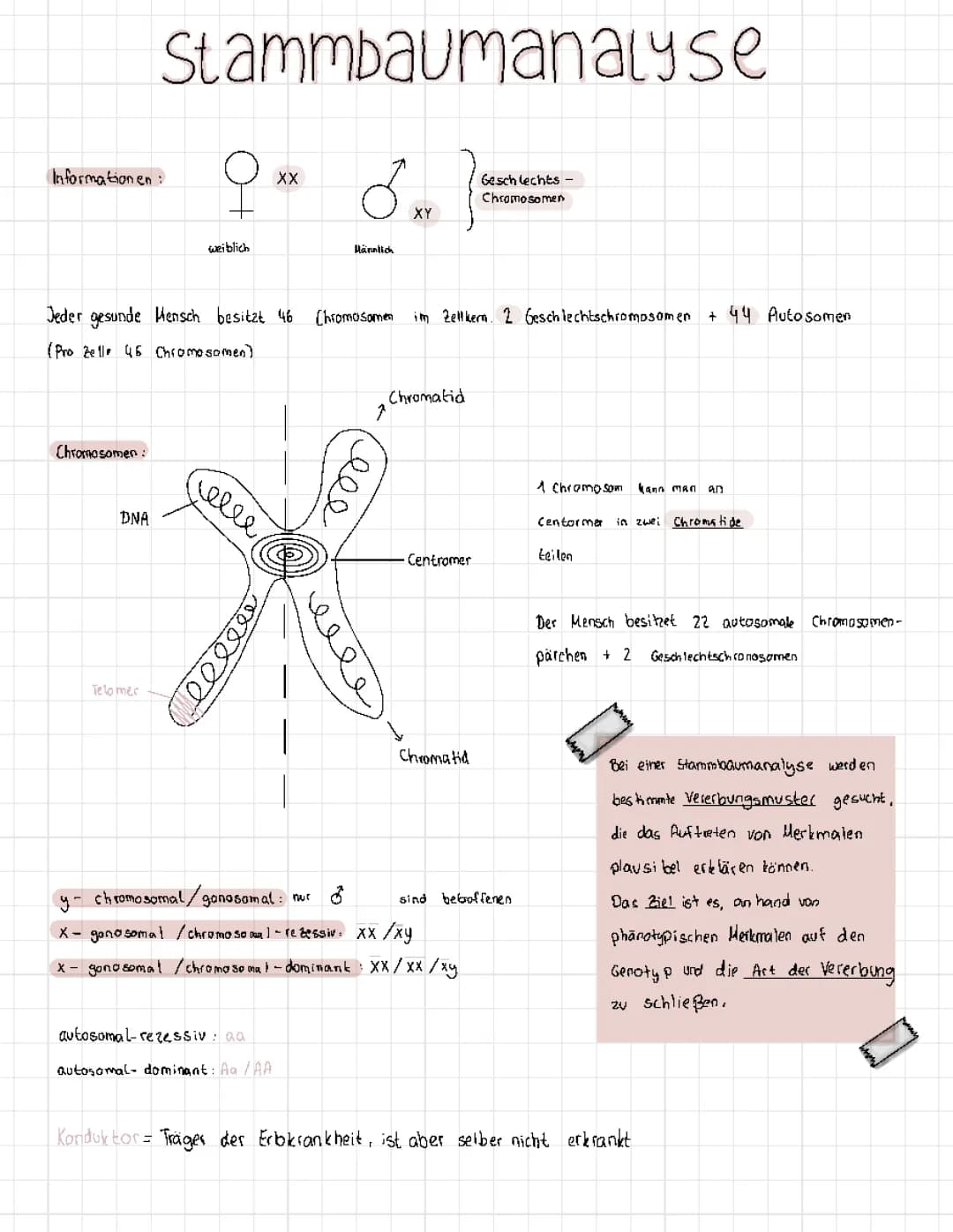 Stammbaumanalyse Biologie