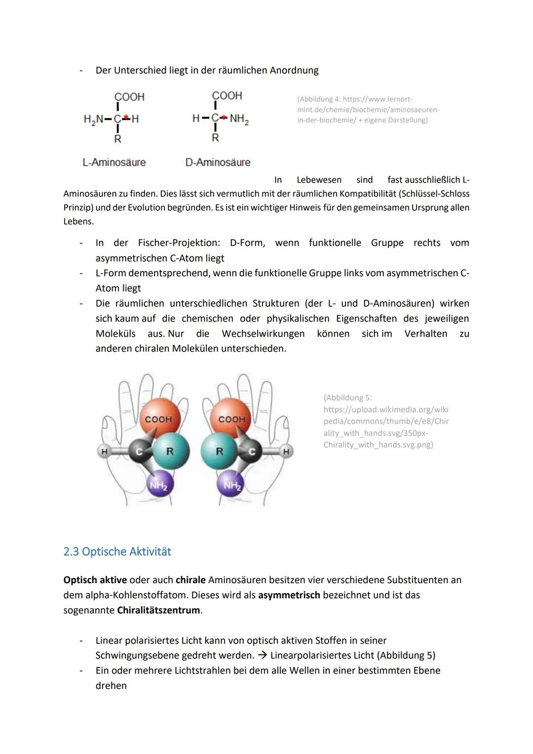 Aminosäuren-Zusammenfassung
Inhaltsverzeichnis
1. Grundlagen......
1.1. Skelettformeln von Aminosäuren
1.2. Zwitterion und IEP.
1.3 Massenwi
