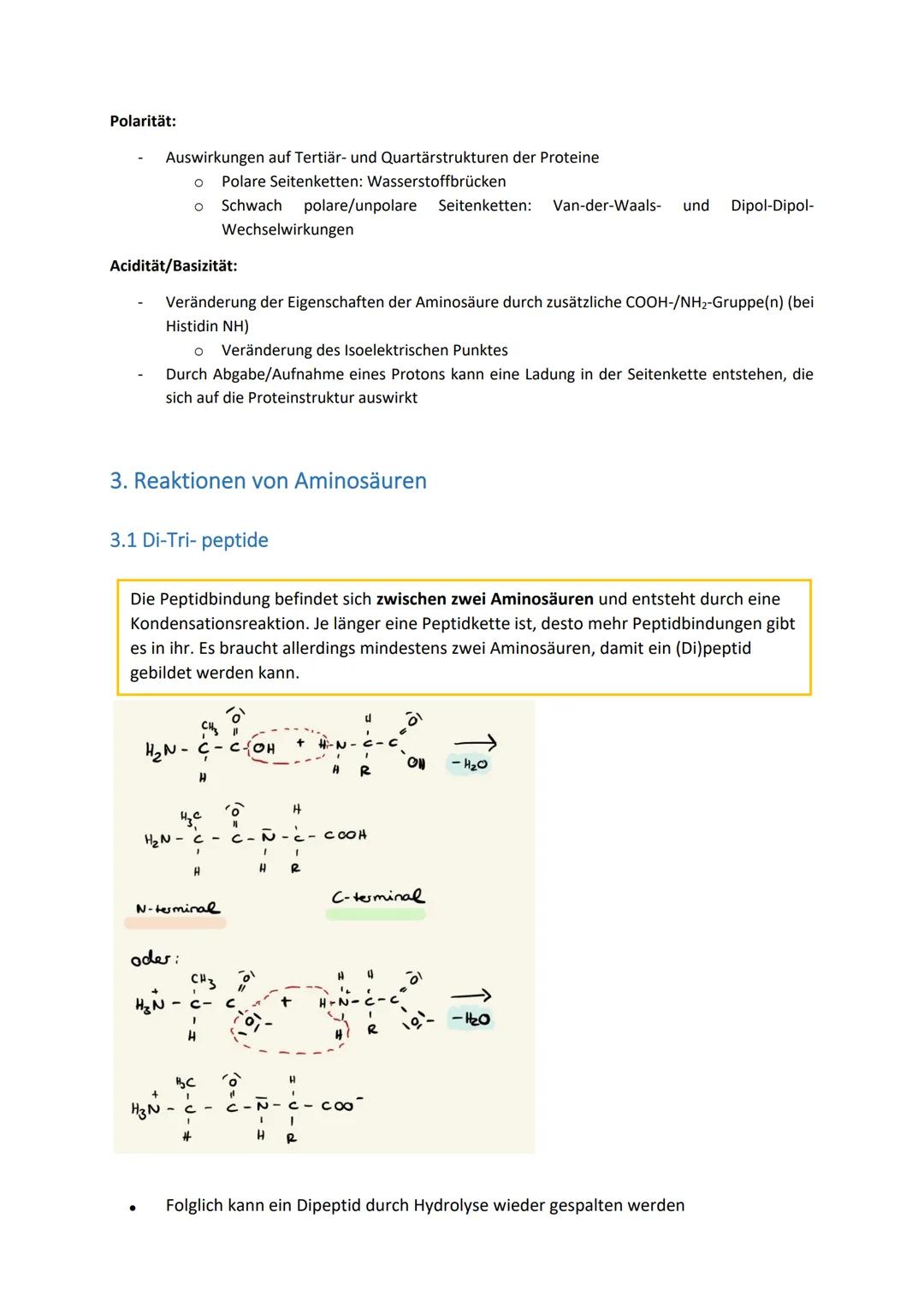Aminosäuren-Zusammenfassung
Inhaltsverzeichnis
1. Grundlagen......
1.1. Skelettformeln von Aminosäuren
1.2. Zwitterion und IEP.
1.3 Massenwi