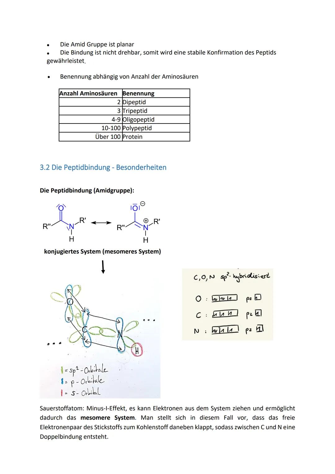 Aminosäuren-Zusammenfassung
Inhaltsverzeichnis
1. Grundlagen......
1.1. Skelettformeln von Aminosäuren
1.2. Zwitterion und IEP.
1.3 Massenwi