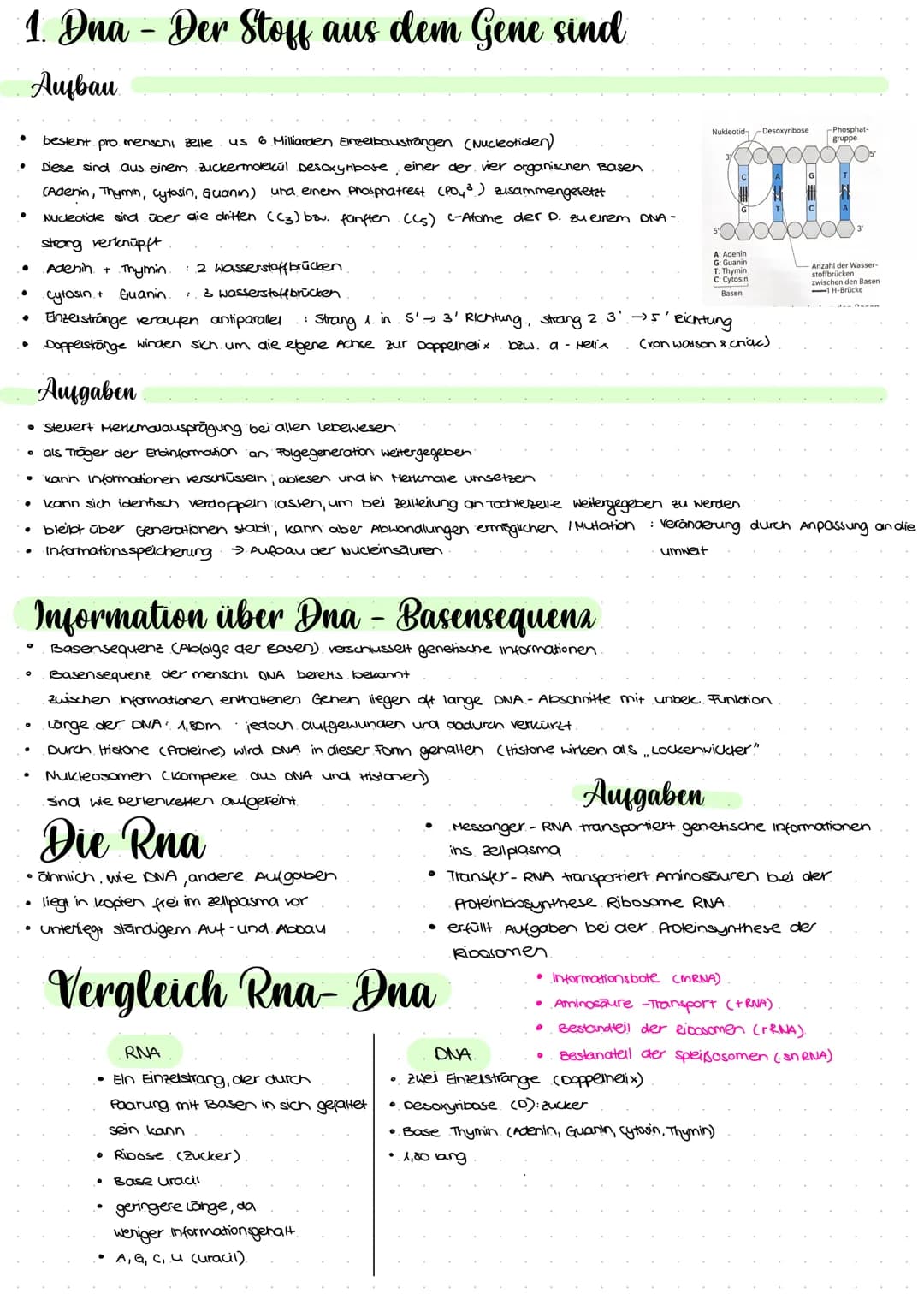 2.1 Molekulargenetik
●
Humangeneti uk
→ beim nenschen
• Erbgange.
ABO-System
• Stammbaumanalyse
Gentechnik
→ Einschleusen fremder Erbinforma