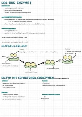 Know Enzyme Übersicht thumbnail