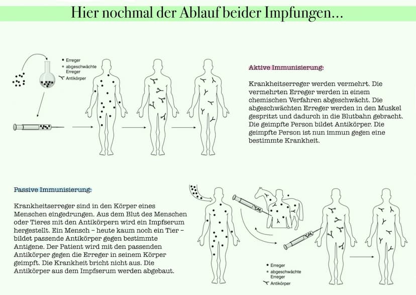 Aktive und passive Immunisierung
Aktive Immunisierung
Eine von Edward Jenner entwickelte Schutzimpfung:
→→→→→→Körper bildet notwendige Antik