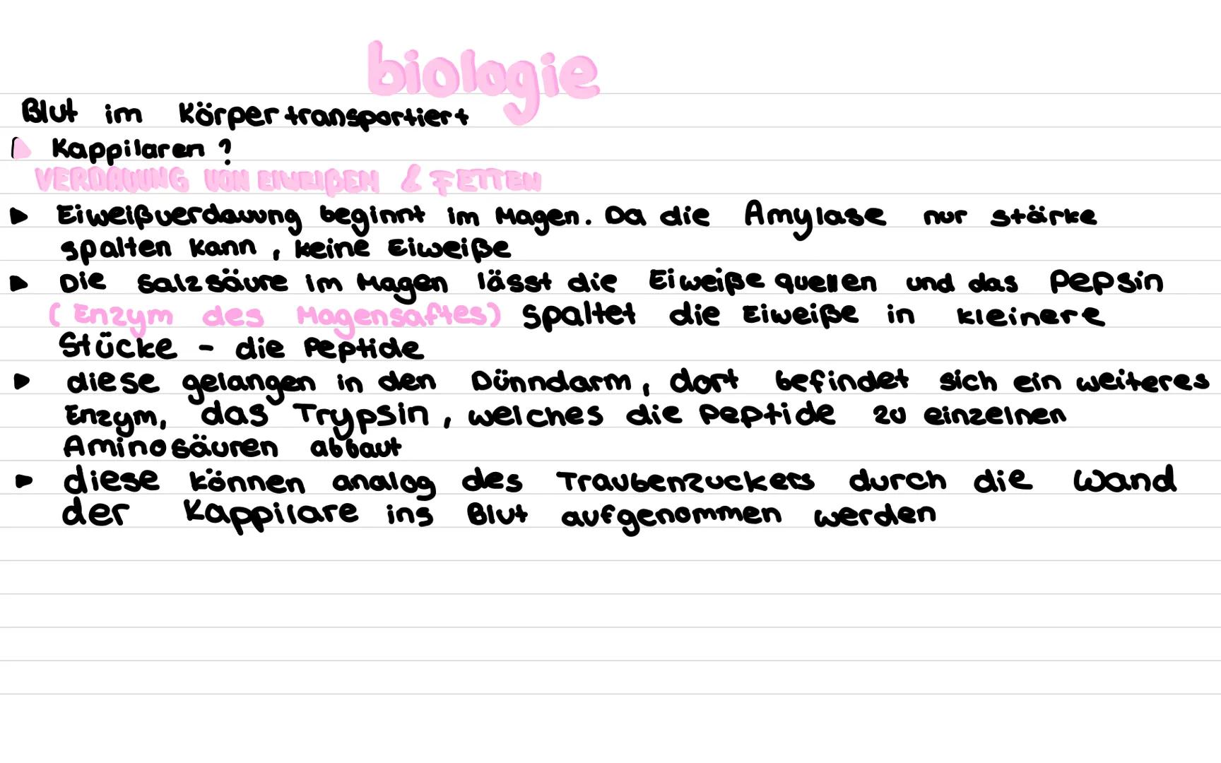 biologie
verdauung von Kohlenhydrate
^ Traubenzucker
ist sehr klein so dass die Molekühle von den
Schleimhäuten aufgenommen und mit dem Blut