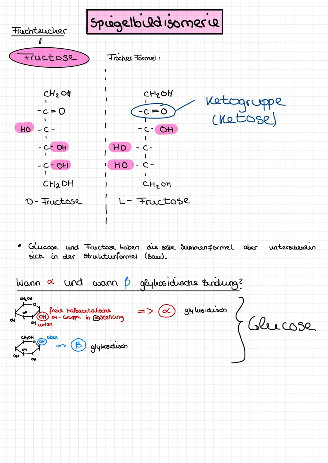  ●
n
Amylose
300 1000 Einheiten
- еееее споегaweigt
unverzweigt
●
A
x-
-gly hosidusch verknüpft
(x - 1,4 glyhosidisch)
x
D-Glucose
-
Starke 