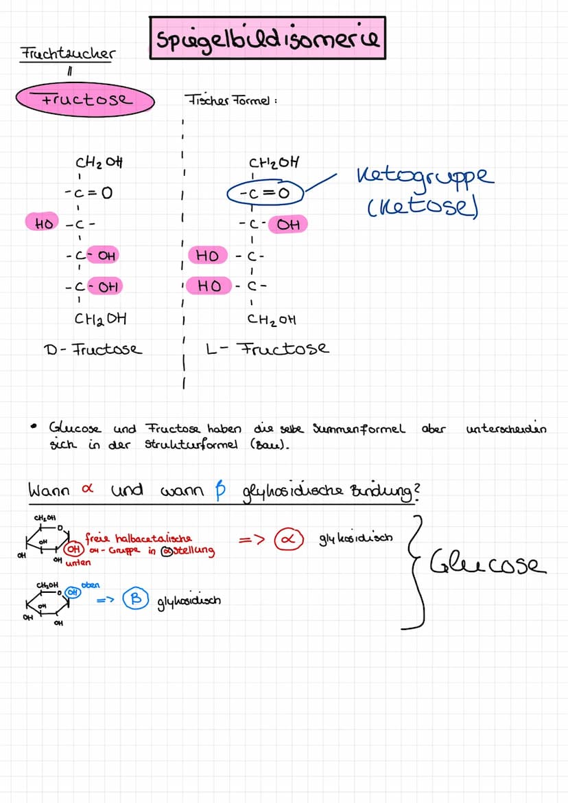  ●
n
Amylose
300 1000 Einheiten
- еееее споегaweigt
unverzweigt
●
A
x-
-gly hosidusch verknüpft
(x - 1,4 glyhosidisch)
x
D-Glucose
-
Starke 