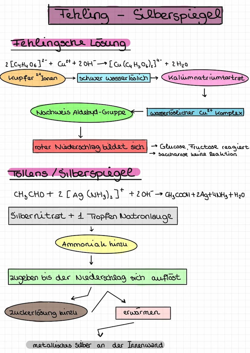  ●
n
Amylose
300 1000 Einheiten
- еееее споегaweigt
unverzweigt
●
A
x-
-gly hosidusch verknüpft
(x - 1,4 glyhosidisch)
x
D-Glucose
-
Starke 