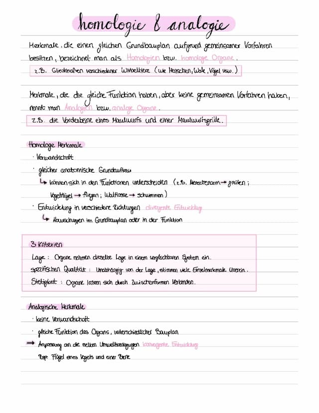 Know Homologie & Analogie thumbnail