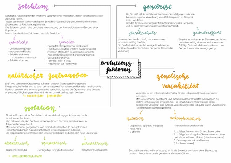 Know Evolutionsfakoren Biologie Abitur Lernzettel thumbnail