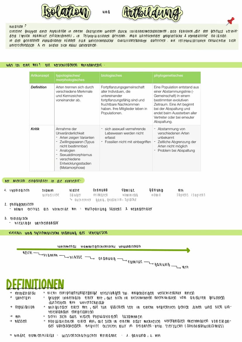 Selektion
Natürliche Auslese unter den Phänotyp-Varianten einer Population, denen verschiedene Allele
zugrunde liegen.
Träger bestimmter Gen