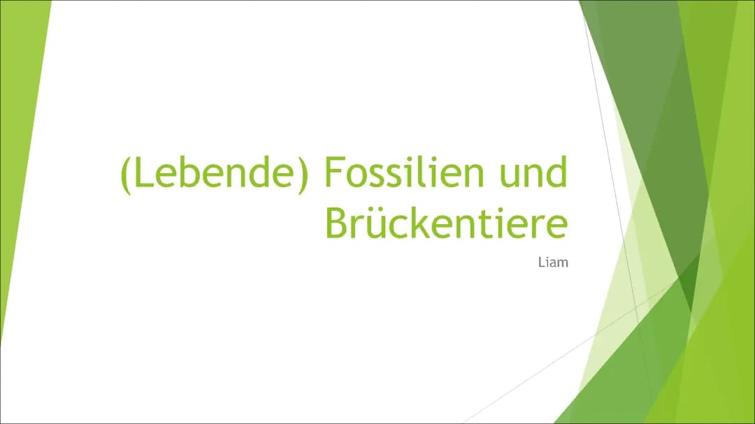Lebende Fossilien: Beispiele und alles über Fossilisation