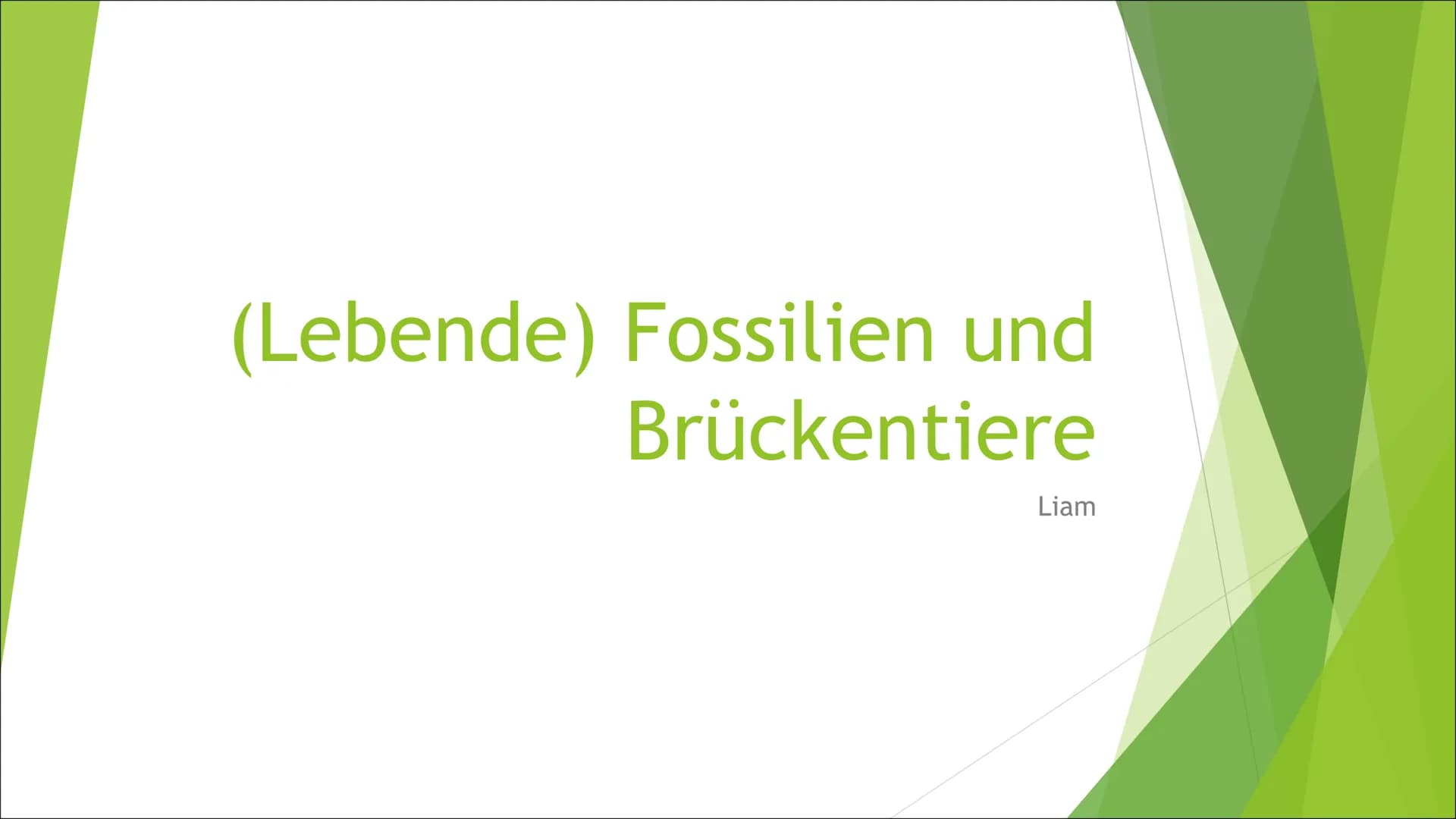 (Lebende) Fossilien und
Brückentiere
Liam Inhaltsverzeichnis
► Was sind Fossilien?
► Geschichte
► Ablauf Fossilisation
► Bedingungen Fossili