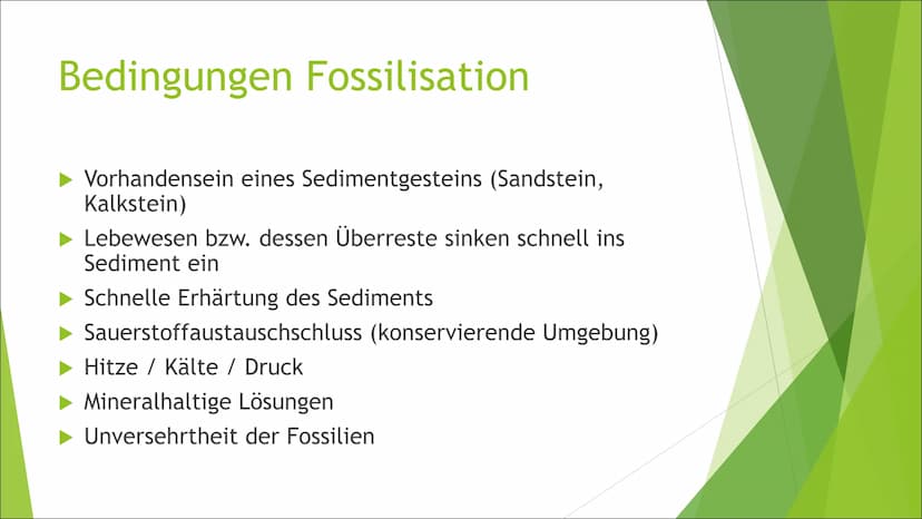 (Lebende) Fossilien und
Brückentiere
Liam Inhaltsverzeichnis
► Was sind Fossilien?
► Geschichte
► Ablauf Fossilisation
► Bedingungen Fossili
