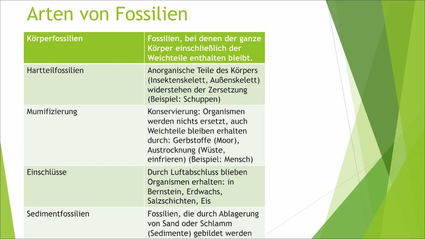 (Lebende) Fossilien und
Brückentiere
Liam Inhaltsverzeichnis
► Was sind Fossilien?
► Geschichte
► Ablauf Fossilisation
► Bedingungen Fossili